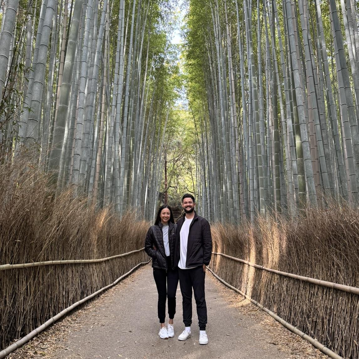 Our Dream Honeymoon