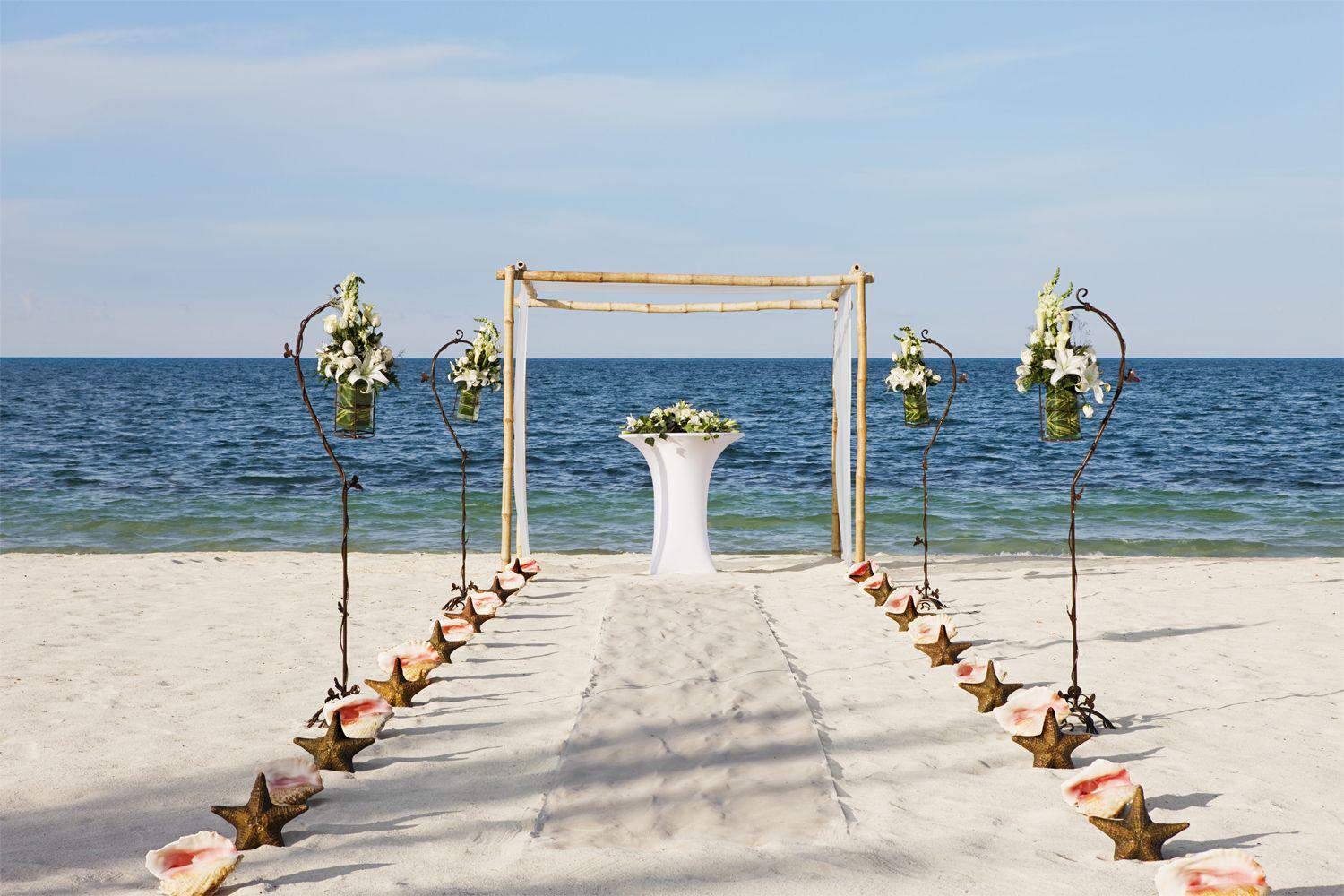 The Wedding Website of Danielle Widecrantz and Walter Doernbach