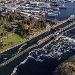 Ballard Locks