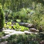 Zilker Botanical Garden