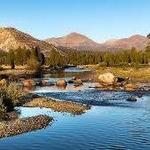 Tuolumne Meadows