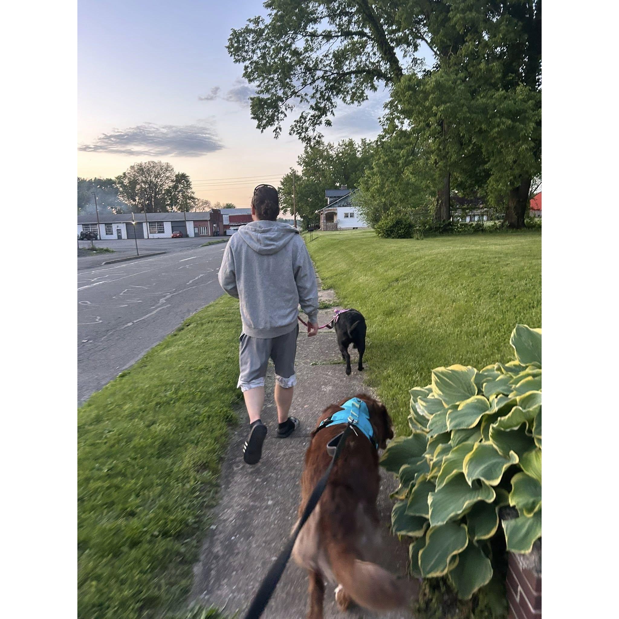 Family walks
