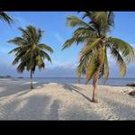 Smathers Beach