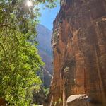 Zion National Park, UT