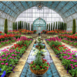 Como Park Zoo & Conservatory