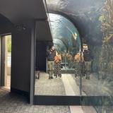 Bermuda Aquarium, Museum & Zoo