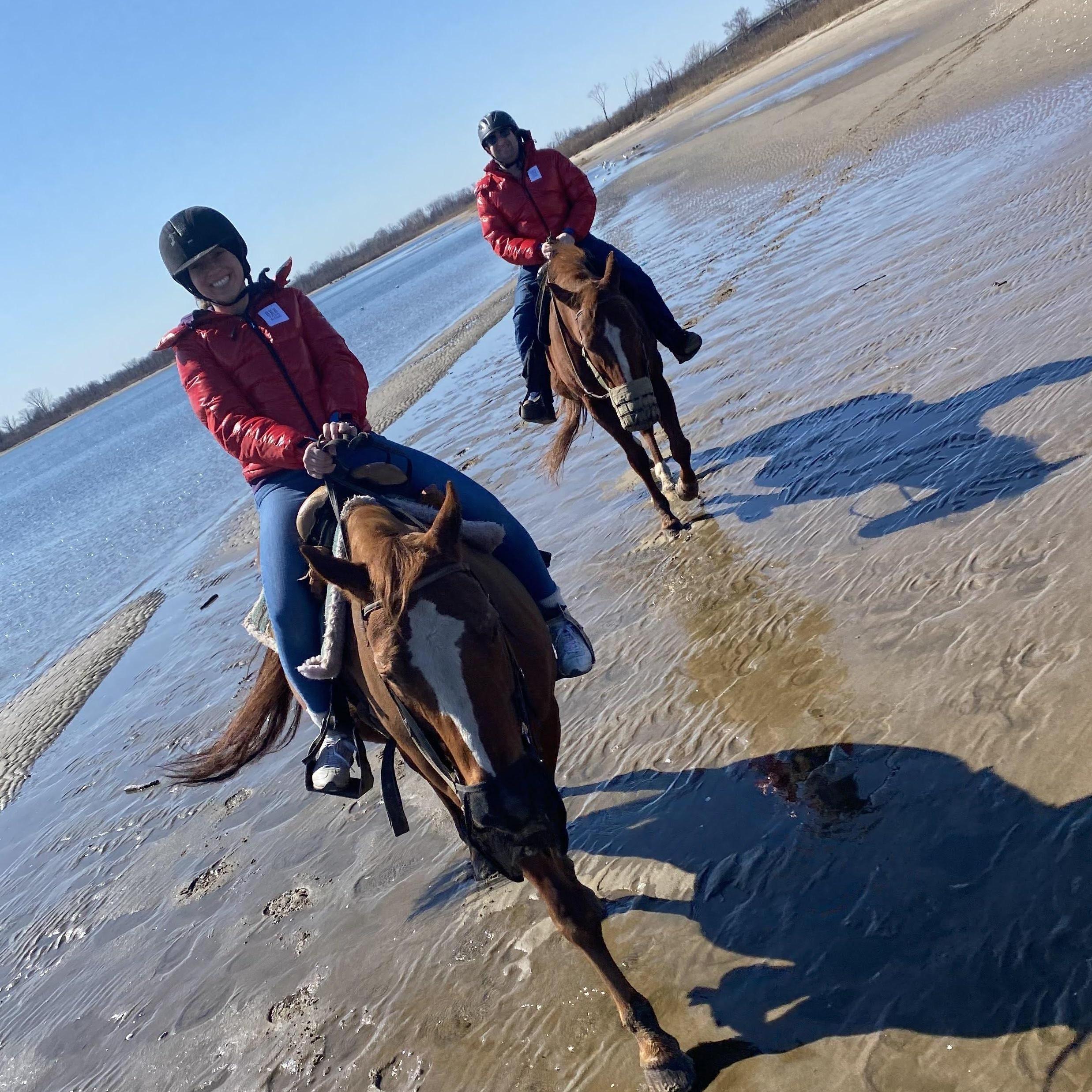 Just horsing around!