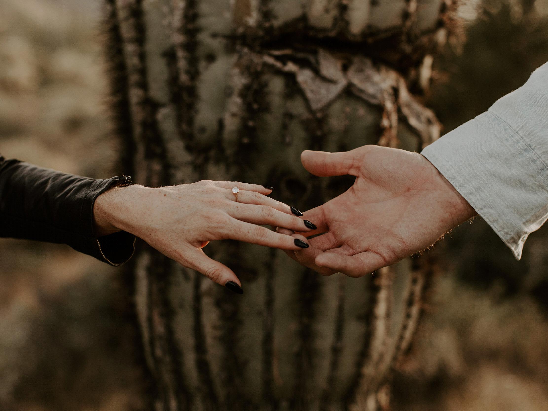 The Wedding Website of Katie Thompson and Erik Cook