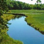 Rachel Carson Wildlife Refuge