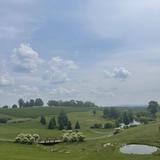 Stone Tower Winery