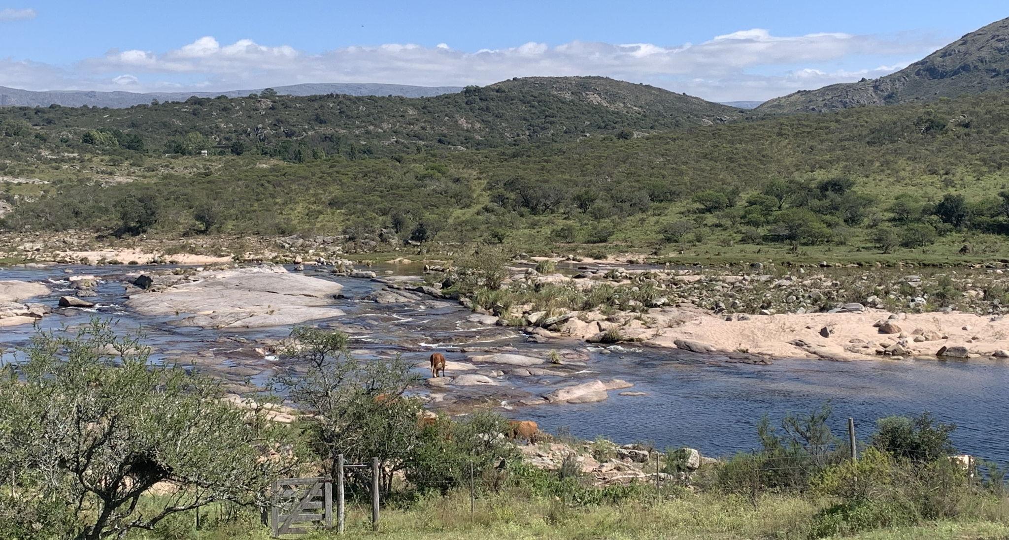 The Wedding Website of Juan Manuel Manzotti and Bernardo Nobrega