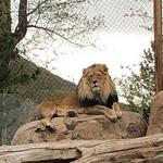 Utah's Hogle Zoo
