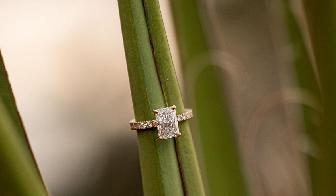 1d46162b-65cb-453f-8e9c-567fa7d8208b