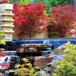 The Dallas Arboretum and Botanical Garden