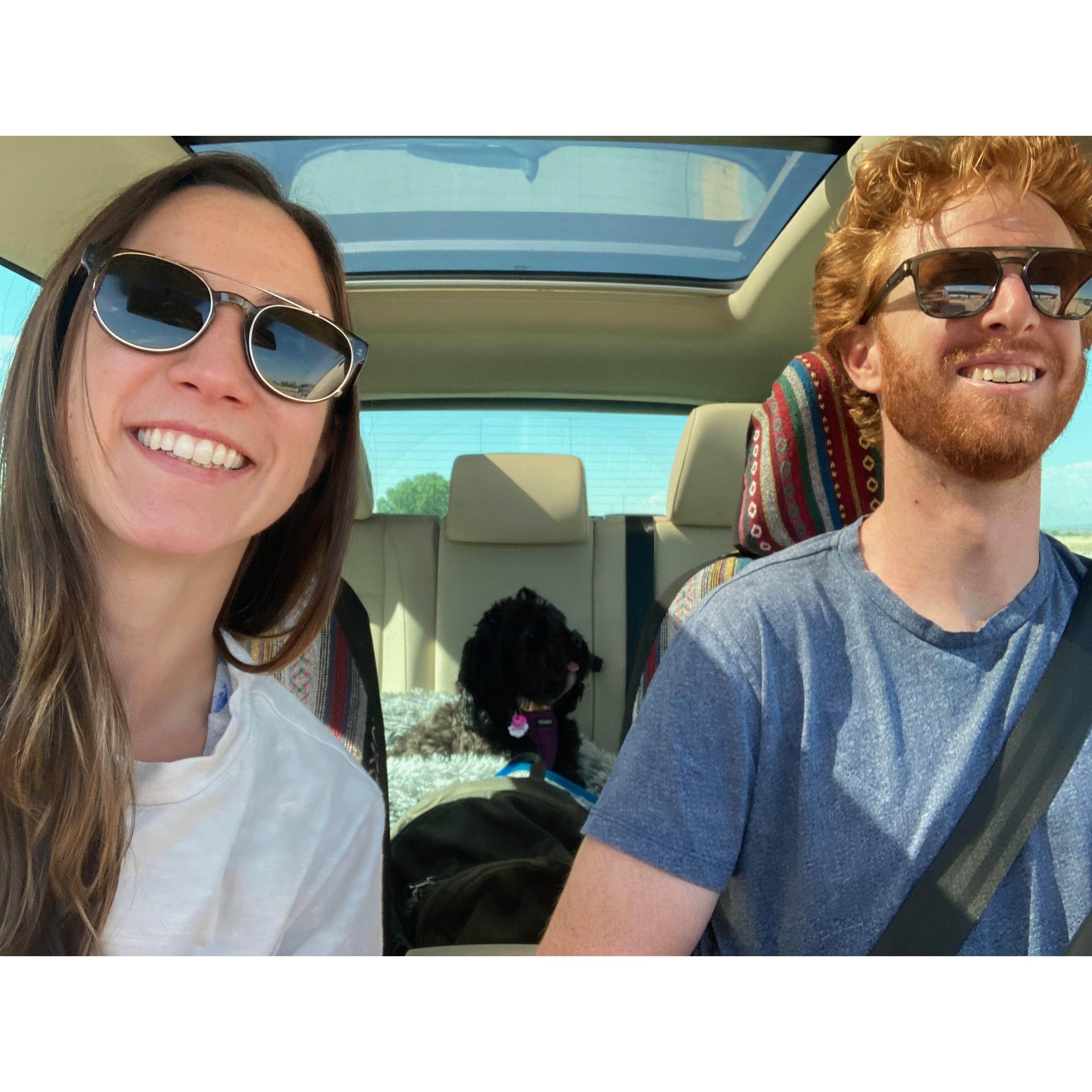 We enjoy long car rides together listening to music and audiobooks. Rosie is our favorite passenger.