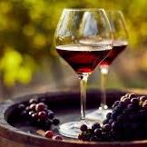 Wine Tasting in Franschhoek Valley