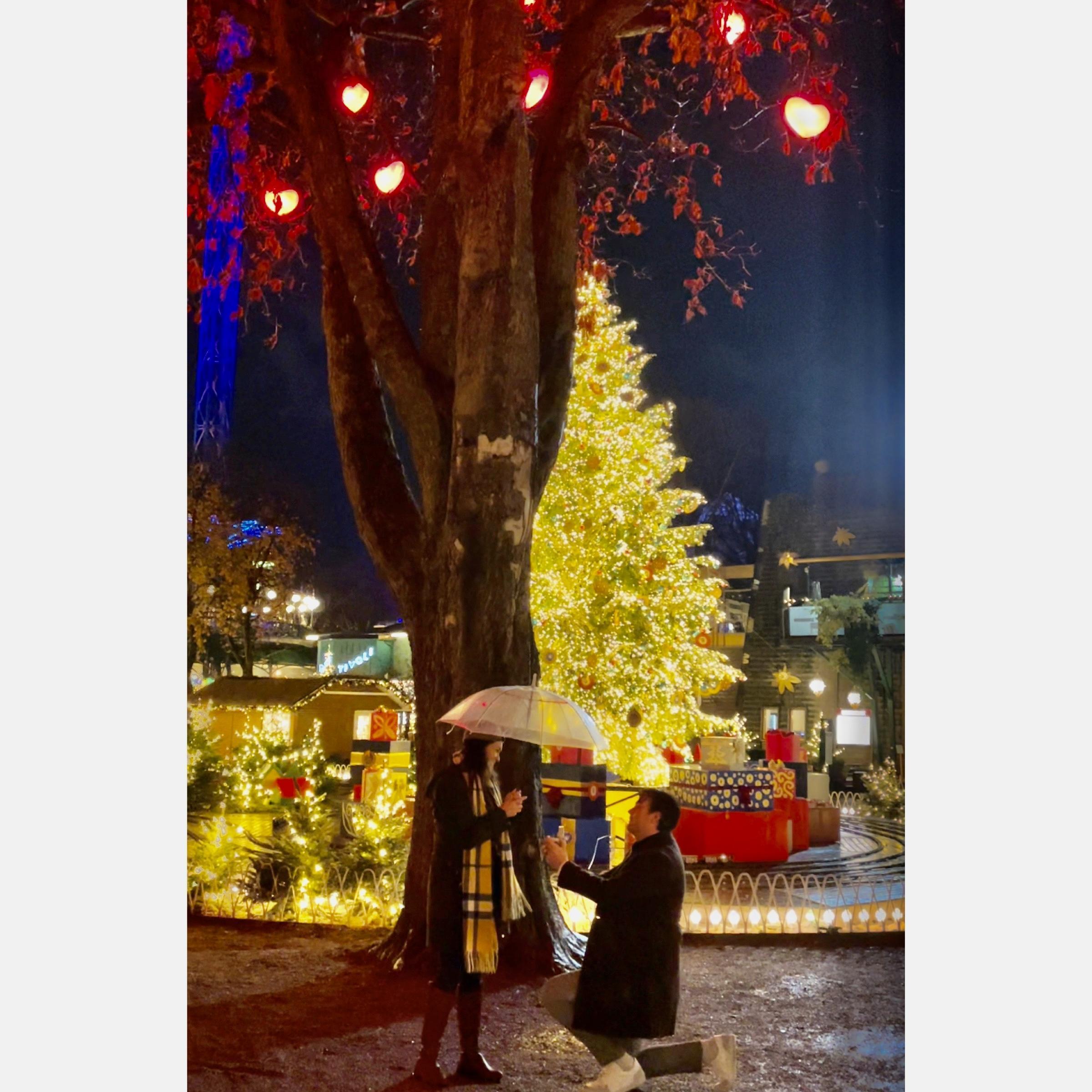 Copenhagen.
Chapter 12: The Proposal.
Let’s take a picture here. Also, will you marry me?