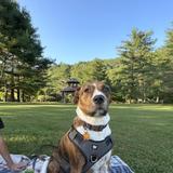 Valle Crucis Community Park