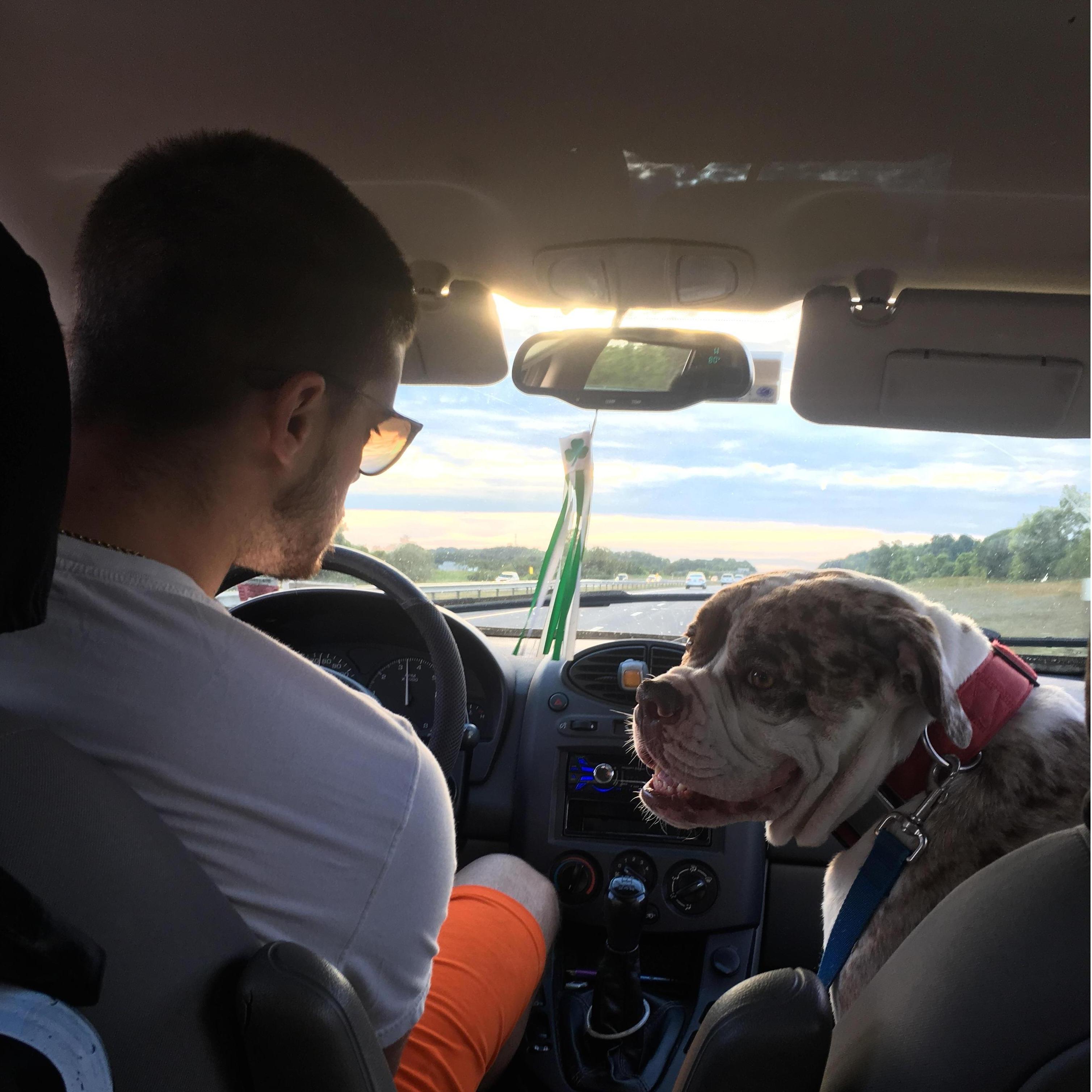 We got a Vinny and fell deeply in love!