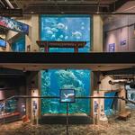 South Carolina Aquarium