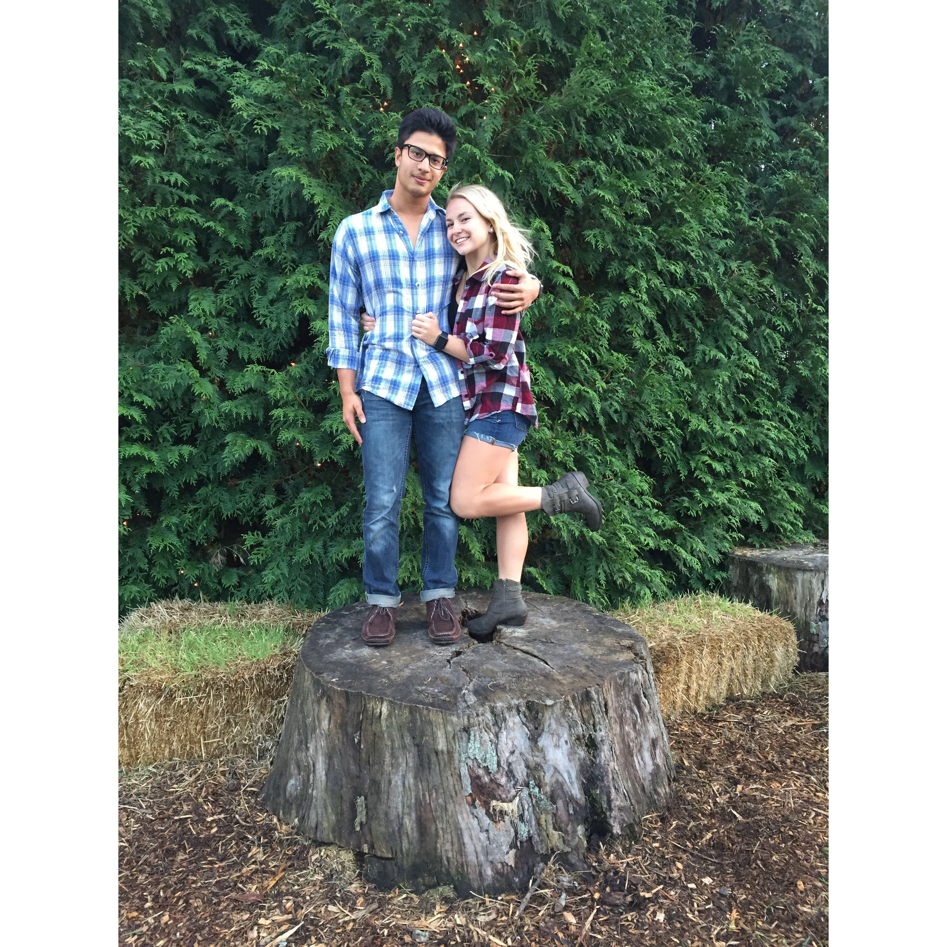 Barn Dances!