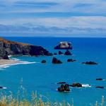 Bodega Bay