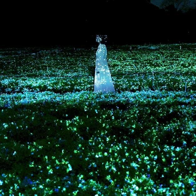 teamLab Botanical Garden Osaka tickets