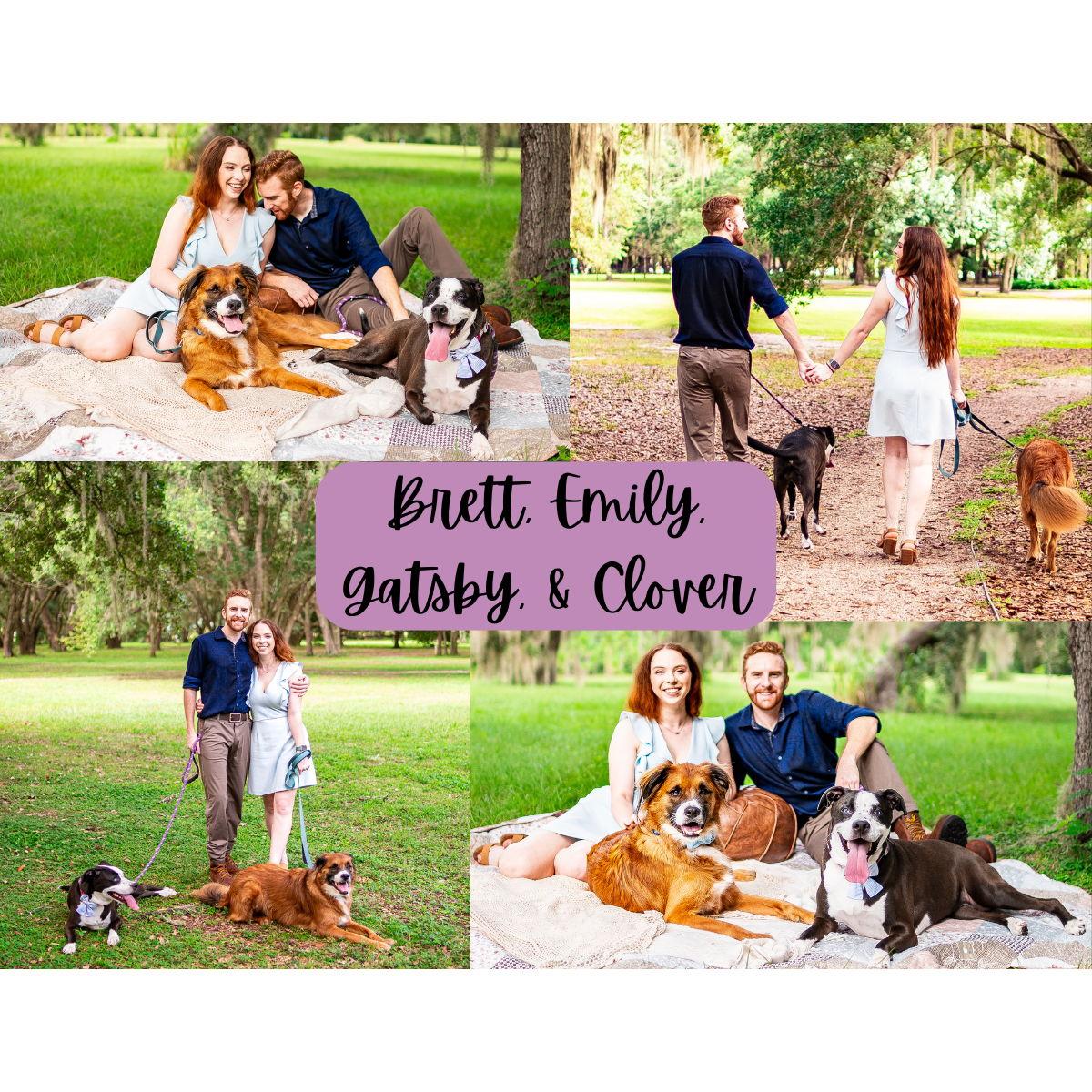 Two little creatures that mean the absolute WORLD to us are our two wonderful dogs, Gatsby and Clover. <3