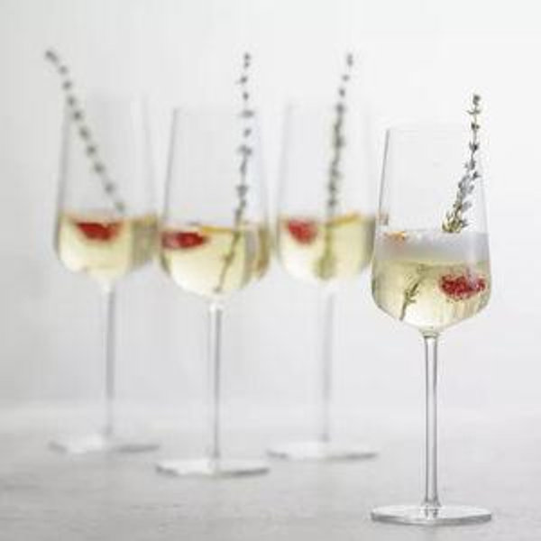 SCHOTT ZWIESEL Vervino Champagne Glass, Set of 6