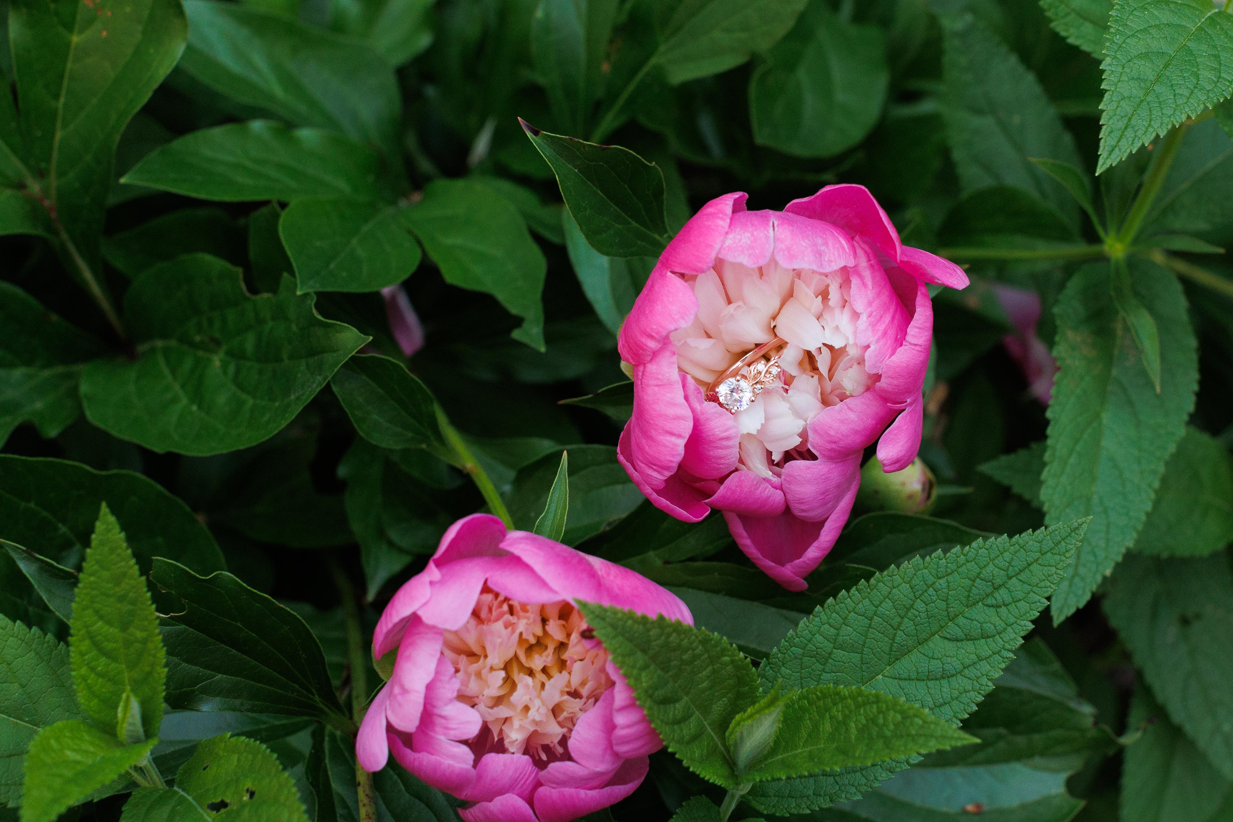 1d5c8a4b-50b9-43cf-ad23-d478916c5c8e