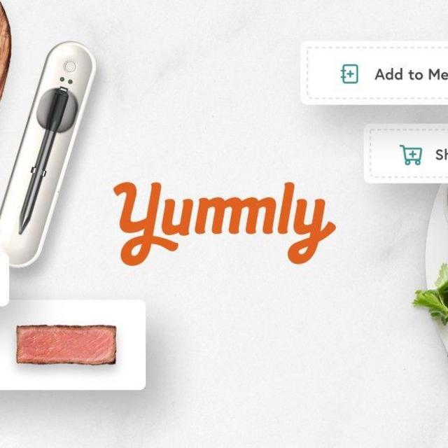 Yummly Smart cooking Thermometer