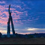 Sculpture Fields at Montague Park