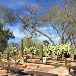 Ethel M Chocolates Factory & Cactus Garden