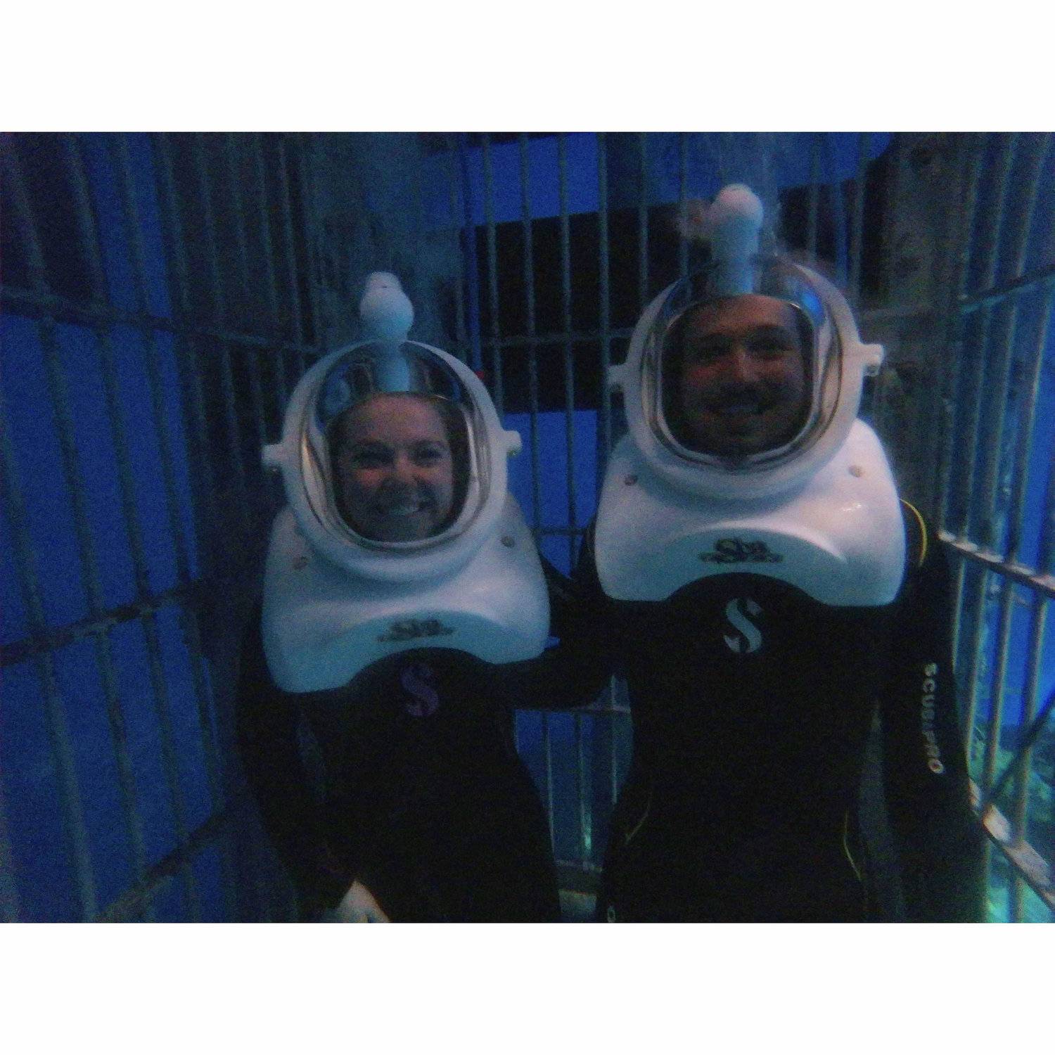 We went swimming with sharks to celebrate Sam's college graduation. This was something she had planned on doing all 4 years of college.