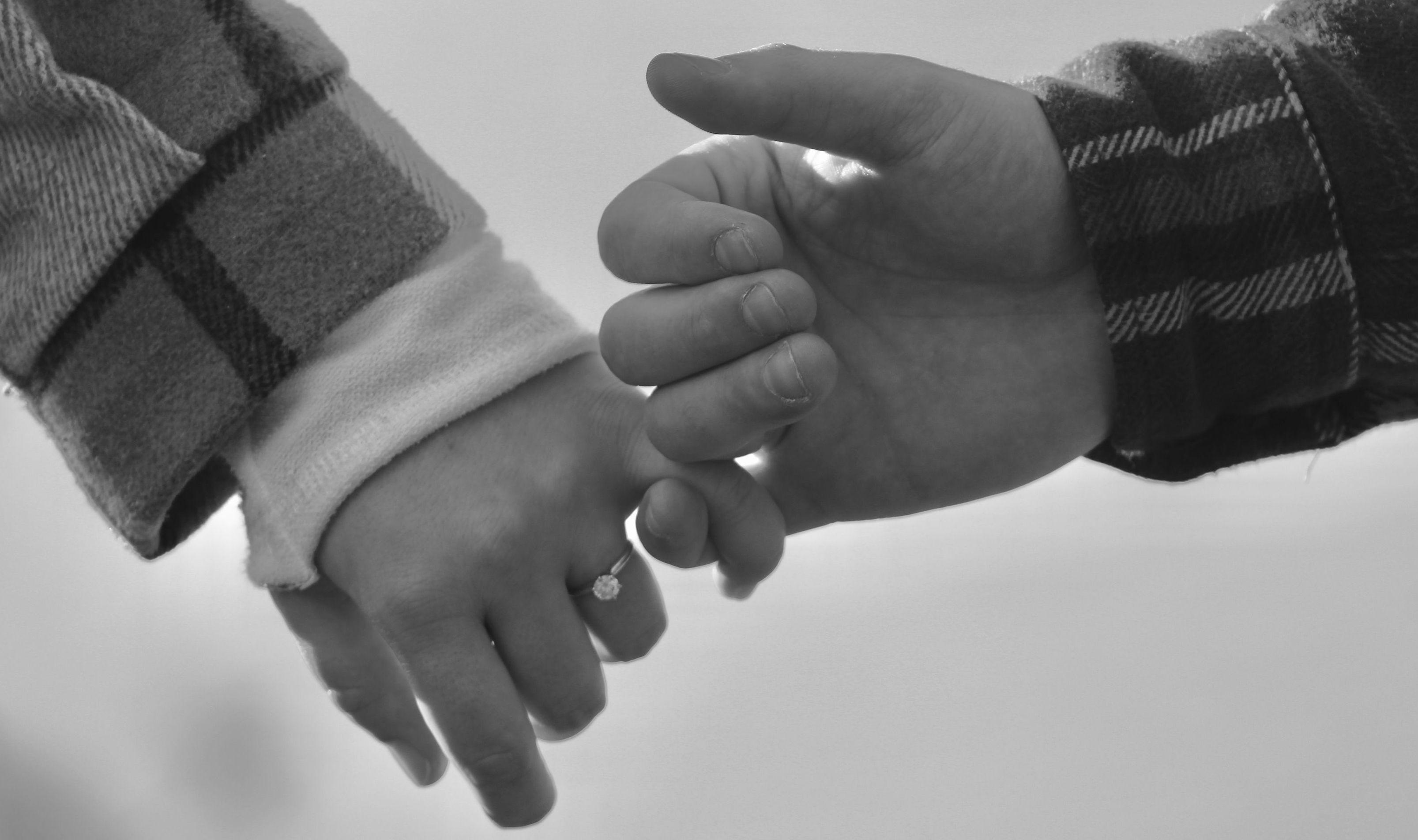 The Wedding Website of Abbigail Cox and Joseph Luback