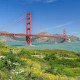 Golden Gate Park