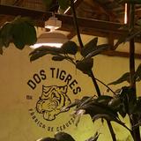 Brewery “Dos Tigres Fabrica de Cerveza”