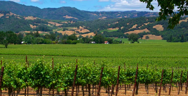 The Wedding Website of Morea Donahue and Daniel Glover