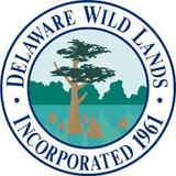 Delaware Wild Forest