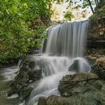 Tanyard Creek Nature Trail