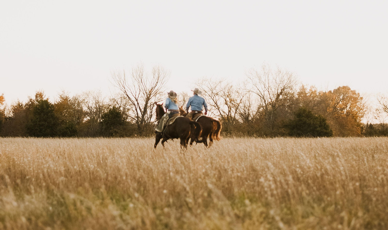 The Wedding Website of Taylor Jacobson and Jud Koziol