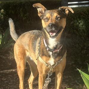 Our Favorite Charity: San Diego Humane Society