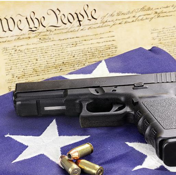 Cameron’s Gun Fund