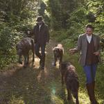 Walk with the Castle Hounds