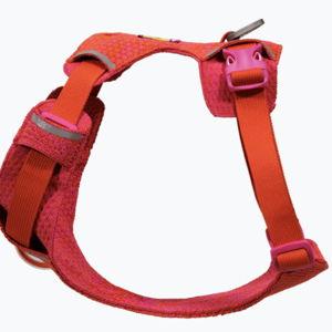 Front Range® Flex Harness