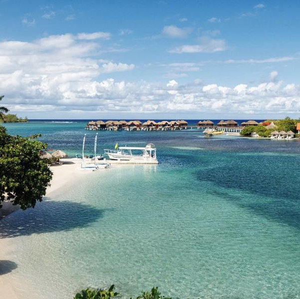 Honeymoon Fund- Jamaica!