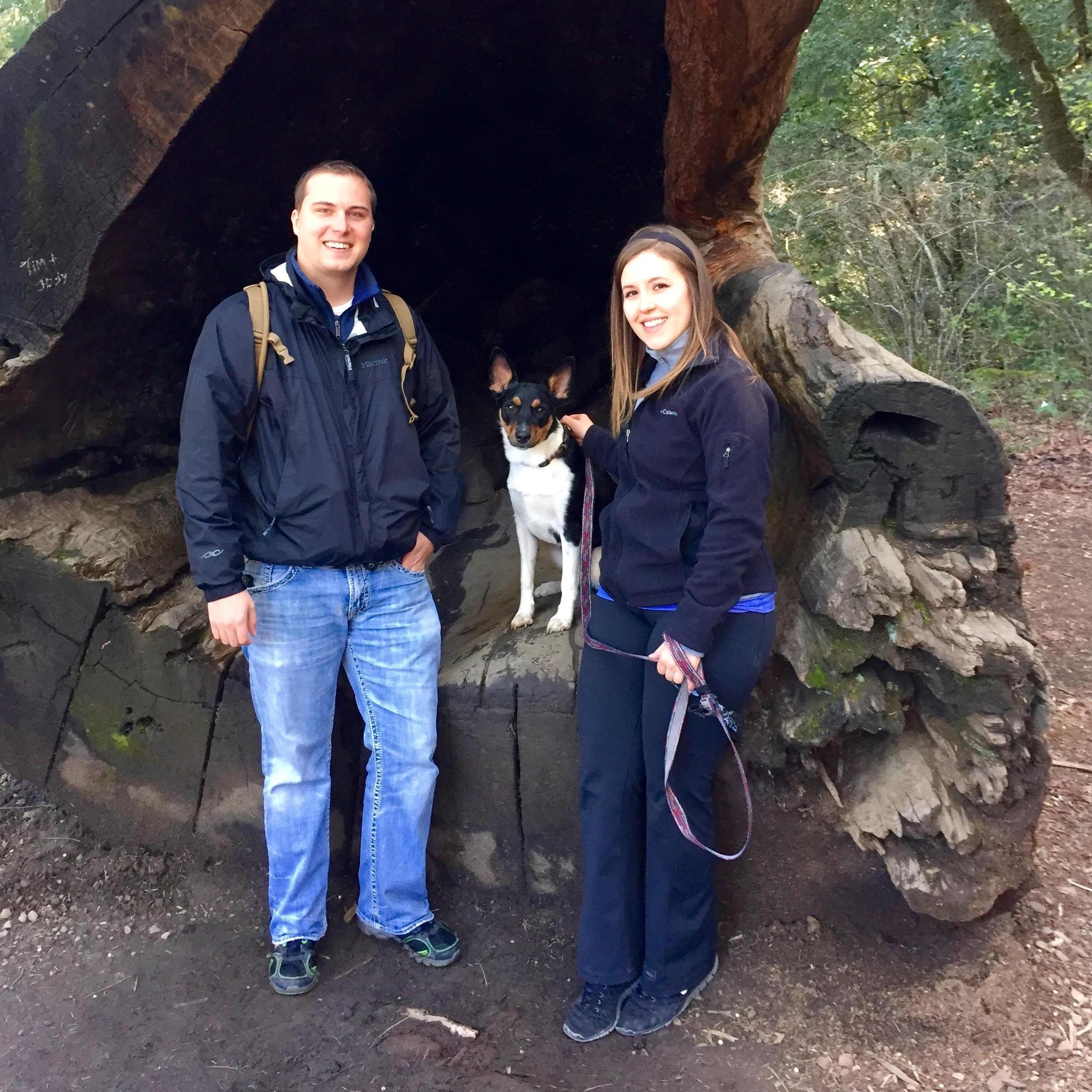 Roadtrip to Redwood National Forest / Portland Oregon