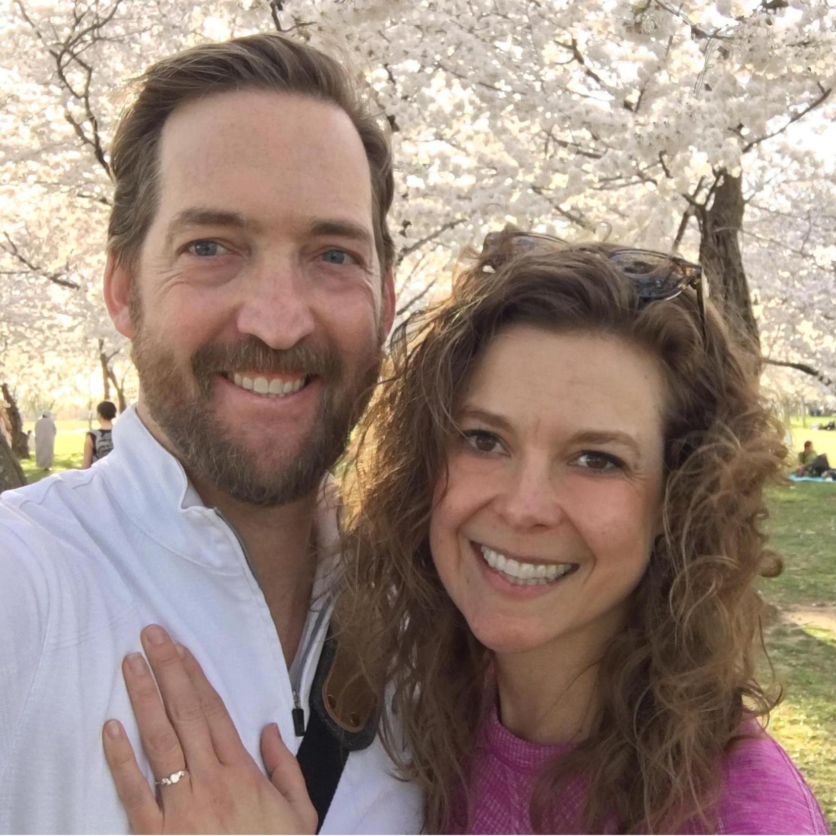 cherry blossoms in DC