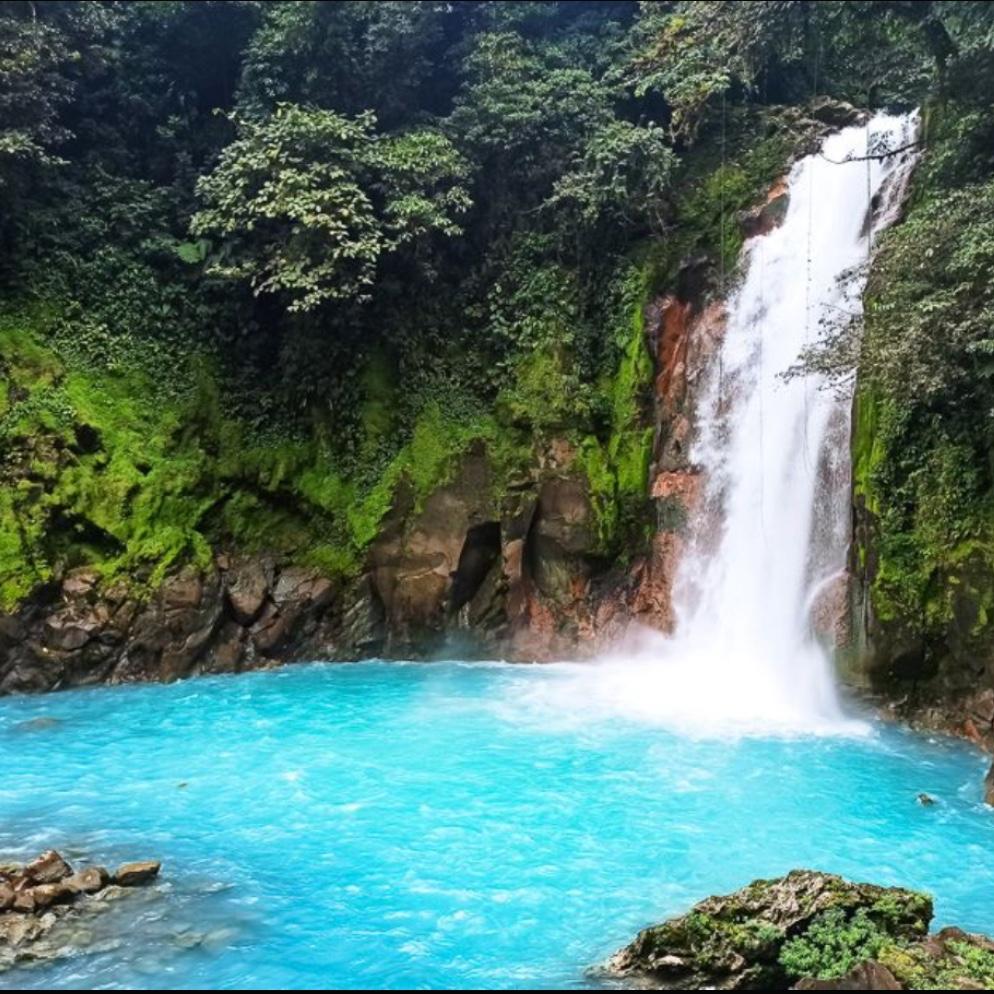 Costa Rica Honeymoon!