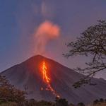 PACAYA VOLCANO HIKE